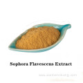 Factory price Sophora Flavescens Extract powder for sale